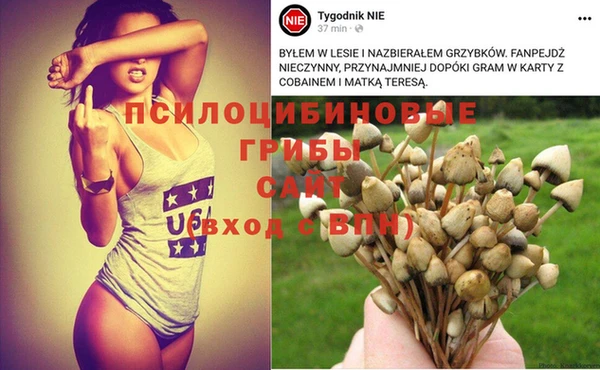 герыч Аркадак